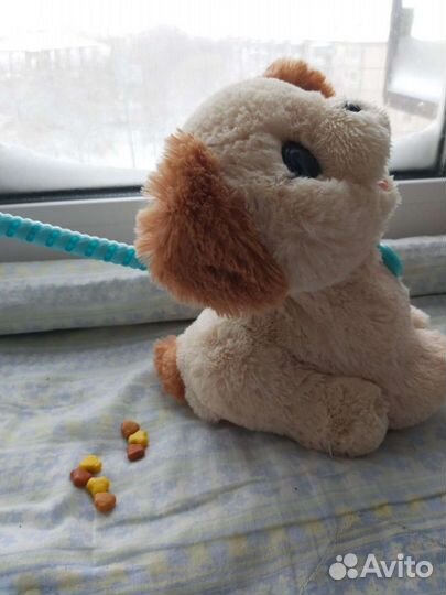 Собака-робот