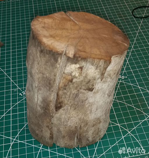 Фрагмент бивня мамонта