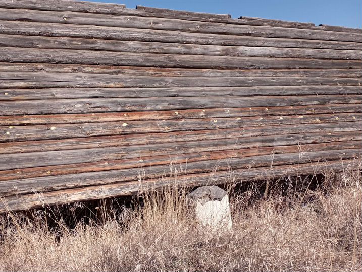 Участок 23,5 сот. (ИЖС)