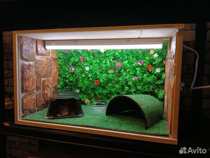 Террариум для эублефара