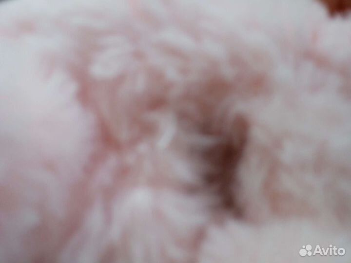 Мягкая игрушка заяц