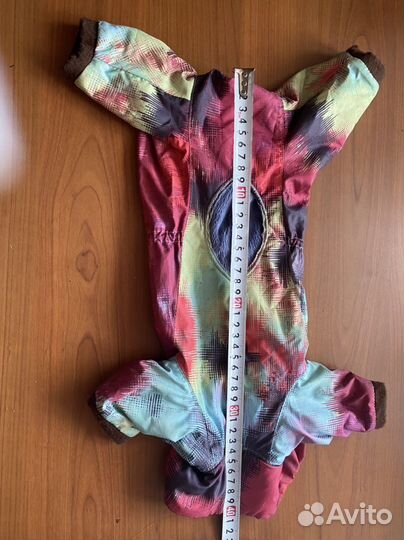 Костюм теплый для маленькой собачки