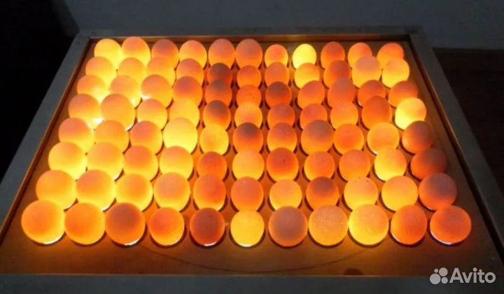 Инкубационное яйцо бройлера росс 308,кобб 500