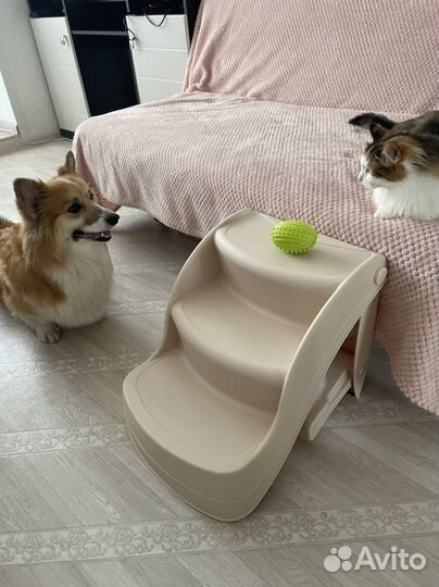 Лестница для животных