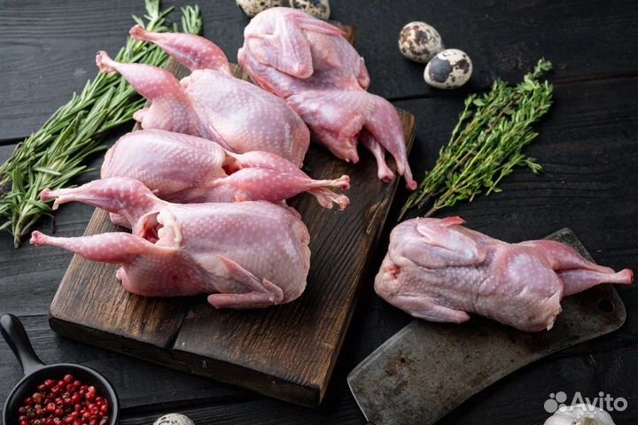 Перепела (перепелки ) горячего копчения