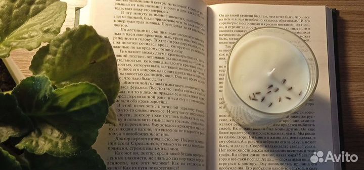 Соевая свеча