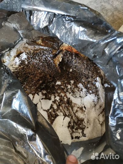 Рубец говяжий