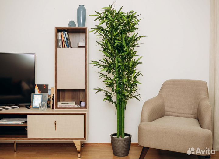 Бамбук искуственный зелёный
