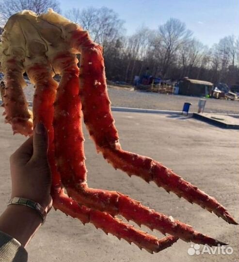 Икра, краб, креветка, рыба, морепродукты оптом