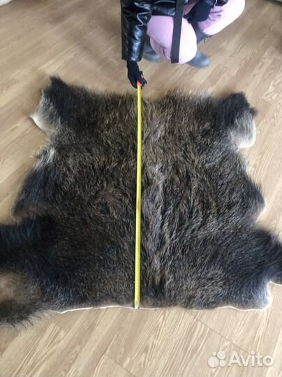 Шкура кабана