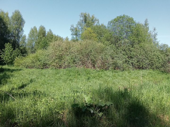 Участок 10 сот. (ИЖС)