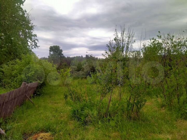 Участок 11,6 сот. (ИЖС)