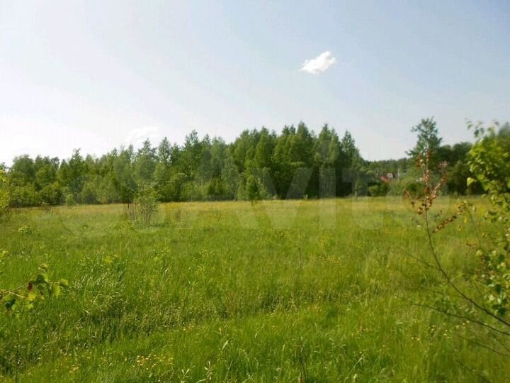 Участок 10 сот. (ИЖС)