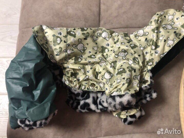 Одежда для собак