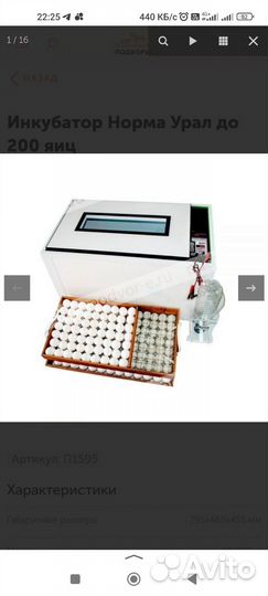 Инкубатор Блиц