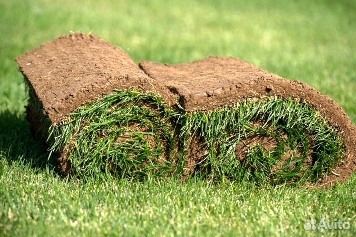 Газон рулонный гарантия