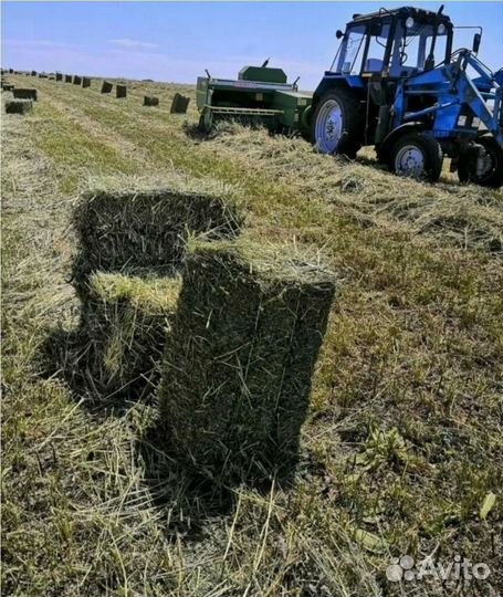 Сено в тюках с доставкой