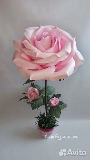 Ростовые цветы