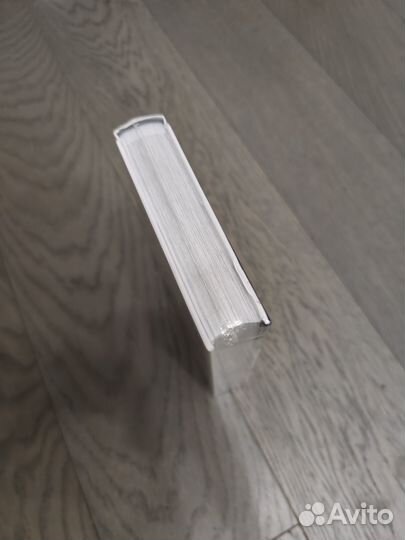 Проза бродячих псов, том 4