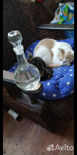 Аксессуары grafini