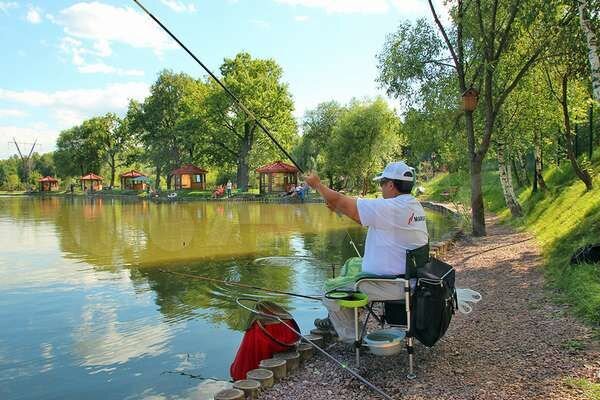 Участок 2,33 га (промназначения)