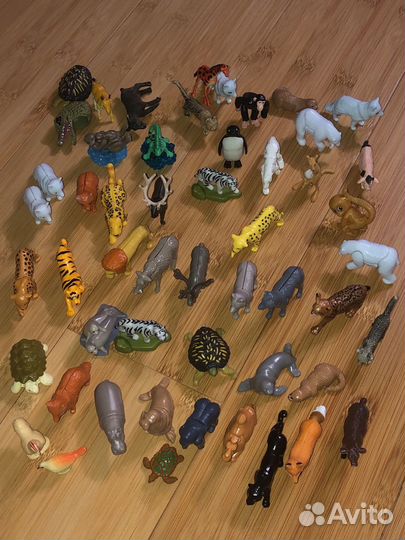 Животные с детенышами зоопарк