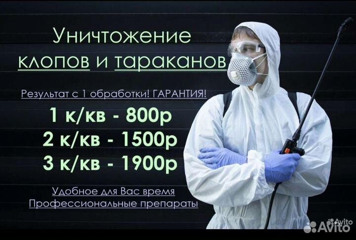 Дезинсекция