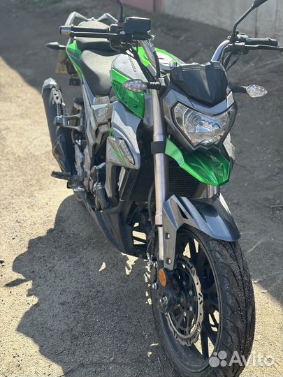 Regulmoto T-Leopard 300