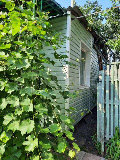 Дом 66,5 м² на участке 6 сот.