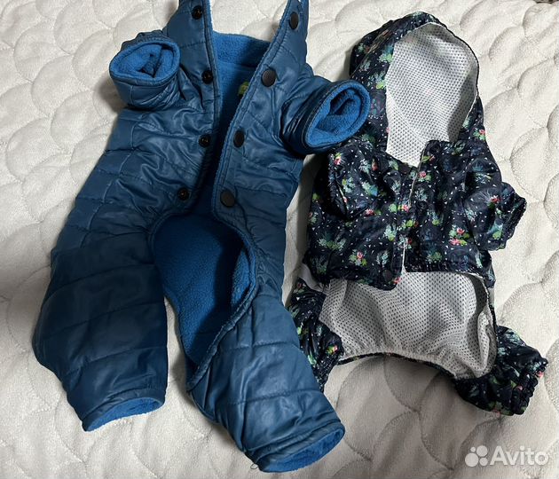 Дождевик и комбинезон для маленькой собаки