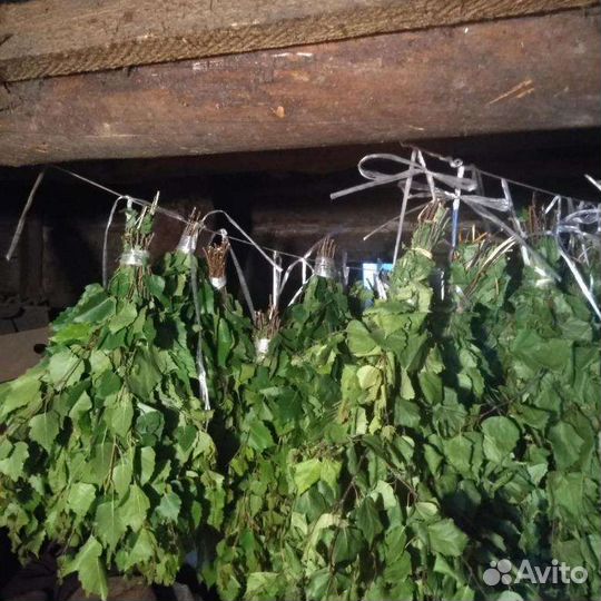 Веники для бани(свежие, замороженные)