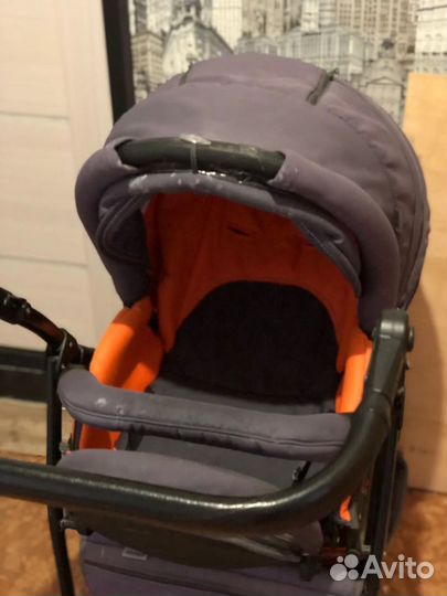 Adamex Nitro Коляска 2 в 1