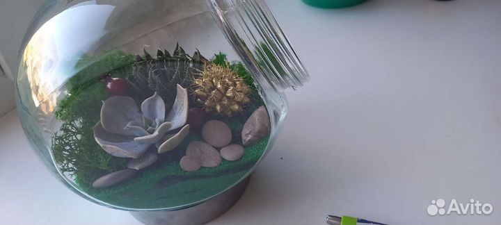 Флорариум