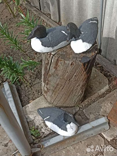 Чучела уток для охоты