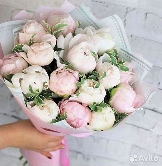 Пионы Букет пионов