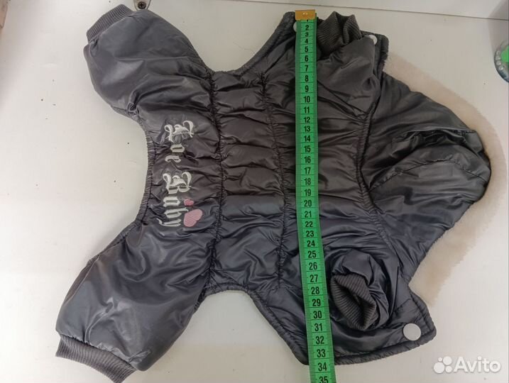 Одежда для маленьких собак