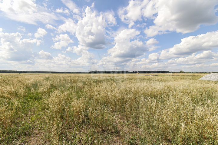 Участок 8,3 сот. (СНТ, ДНП)