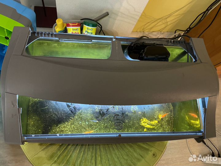 Аквариум с рыбками бесплатно