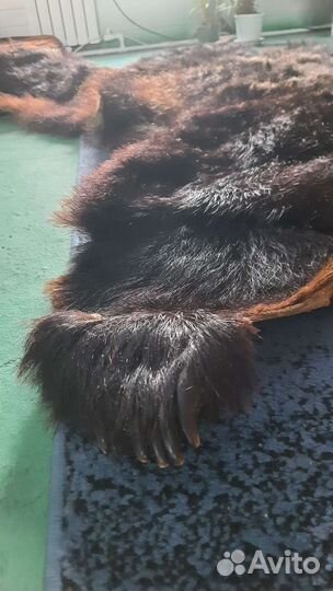 Шкура большого бурого медведя имитация