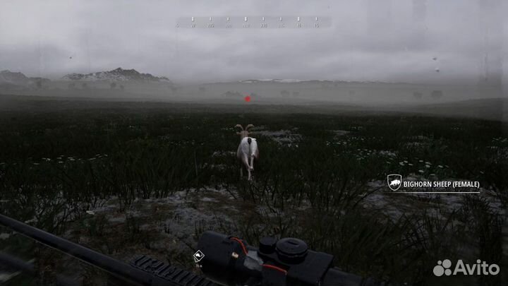 Hunting Simulator 2 PS4 рус.суб. б\у