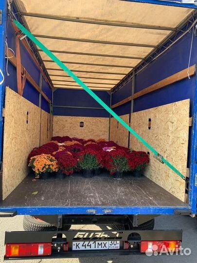 Переезд на газели