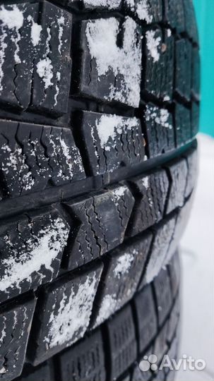 Dunlop Winter Maxx 215/50 R17 95T