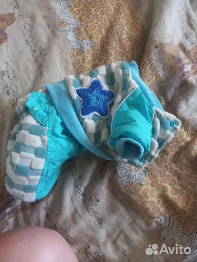 Одежда для маленьких собак