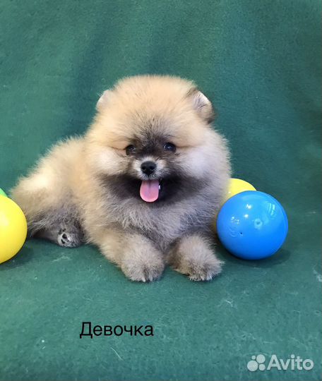 Да чего же хороши наши крохи-малыши