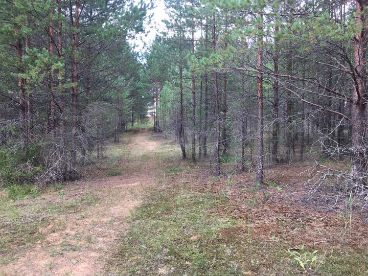 Участок 25 сот. (ИЖС)