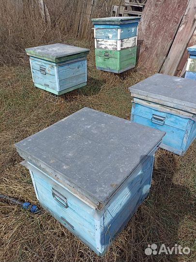 Сушь для пчел, ульи, магазины