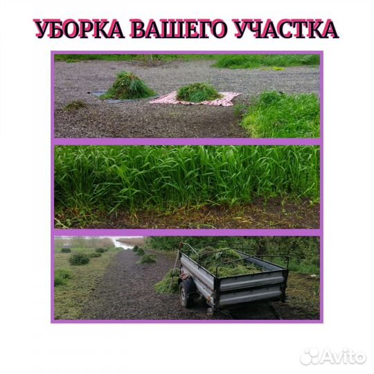 Уборка дачных участков