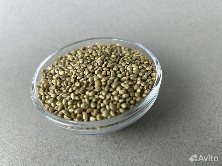 Семена конопли