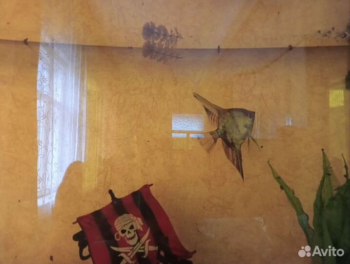 Аквариум jebo