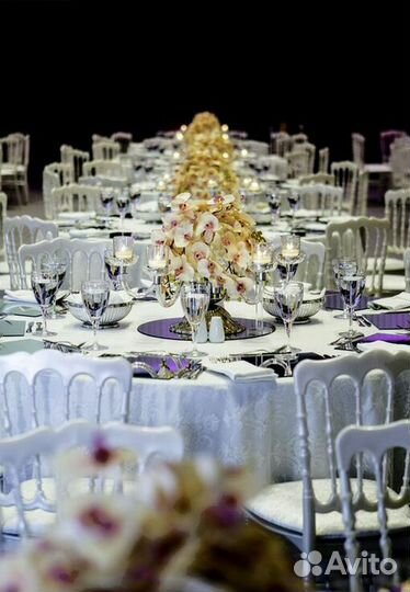 Стулья Кьявари